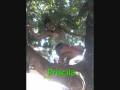 videos de Essas minas estãO d+