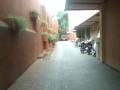 videos de hotel palawa-dr locsin