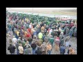 Hamilton, IL Consignment Auction 11/22/11