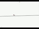 Line Rider Track