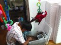 ベニのアスレチック
