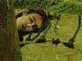 Marco y Xusta durmiendo