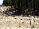 Wrestle Race...I wanted a foot race