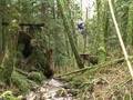 videos de Vicious Circle _the_bike_MoVie