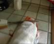 Après Saw 6, voici SAW 7