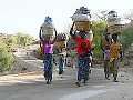 That doggone Dogon myth