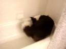 kimee in the tub