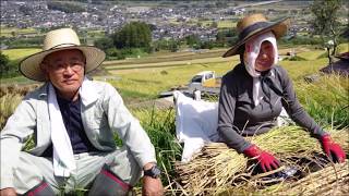 みんなもおいでよ　姨捨の棚田