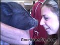 Kissing Barbie Q. the PIG # 11 - kissing a pot bellied pig