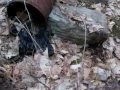 The Killing of a Hudson River Tributary part II