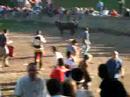 LAVALENGUAS 2008 - SANJUANEANDO.COM