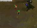 imtor & hippey 14 go kbd !@!@!!@!@!@!@
