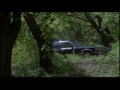 Dennis Hayden video 3