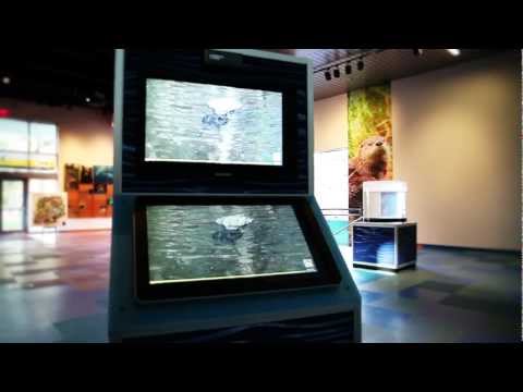 Researchers design exhibit at Museum of Discovery and Science
