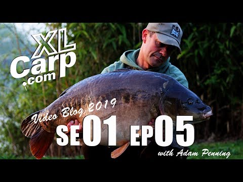 XL Carp Video