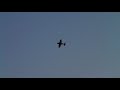 Marks Seagull Yak Marks Seagull Yak