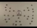 Social Networking (Español)