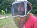 Beekeeper in Oregon- Honey Tree Apiaries