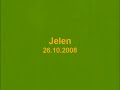 Jelen (Stag) 28.10.2008 Jelen (Stag) 28.10.2008