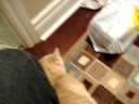 Pay attention to me! Pay attention to me!