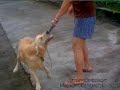 Charlie & Daryl Playing Tome