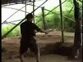 crazy-martial-arts-stickmen.html