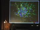 DUC Stem Cell Conference - Xianmim Zeng, Ph.D. DUC Stem Cell Conference - Xianmim Zeng, Ph.D.