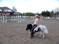 Indus KJ Polonez Kamila Cieślak Kucyk Szetland