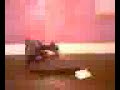le-15000-en-force.html