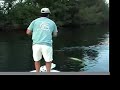 Tarpon Jumps in Boat Tarpon Jumps in Boat