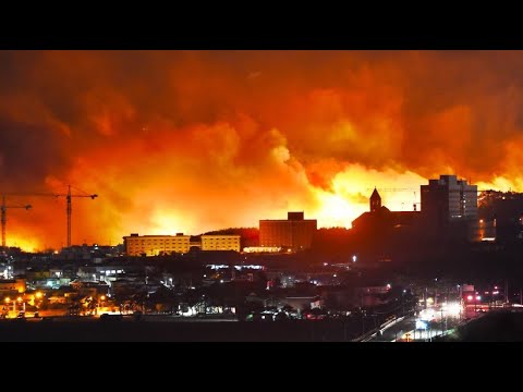 Sdkorea: Riesige Waldbrnde - der Notstand wurde aus ...