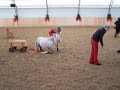 Hoch auf dem gelben Wagen,Diekhof,FRODO/MORITZ 2010