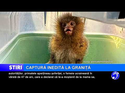Captură inedită la graniță