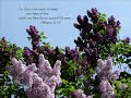 Shane & Shane - He is Exalted