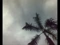 Today.Sky.Driving.Rain.Cock-croach