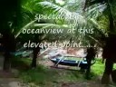 Seafront Property (O.9ha.) - FOR SALE. Dumanjug, Cebu