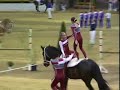vaulting, gymnastics on horseback