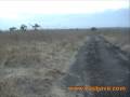 Baluran National Park - Situbondo - East Java