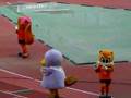 アルディのダンス【本番編】