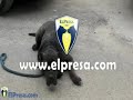 Israel, Coto & Friends - Presa Canario