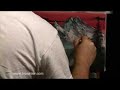 learn to oil paint tvpainter.com