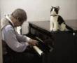 Bach:Partita No.1 BWV 825 - (Video3/3) Gigue W.Nänni Klavierunterricht in Hamburg Musikschule & privat