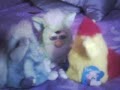 3 furby babies!