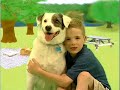 Teach Your Children Spanish (dvd 2) Sample