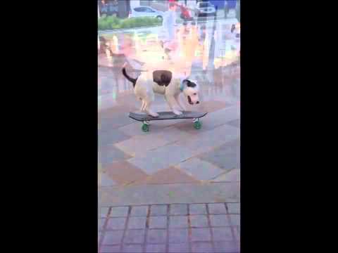 Play YouTube video