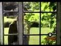 When in Rome-The promise