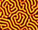 reaction diffusion labyrinth 2