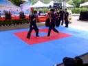 中華武術散打搏擊協會2008K-1優勝《排灣勇者》楊東雄，2007北京格鬥優勝《格鬥小天王》范仲杰率本會黑、褐帶好手黃國洋、鄭宇哲、張傑、阿岳、阿倫等做散打搏擊系列精采展演