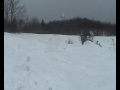 BackFlip Cilibro BackFlip Cilibro