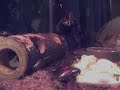 baby-hissing-roaches-eating.html